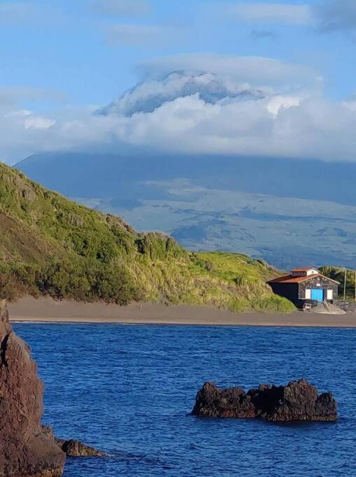 Casa Das Palmeiras - Res. Of Elizabete And Fatima Horta (Azores) Exterior foto