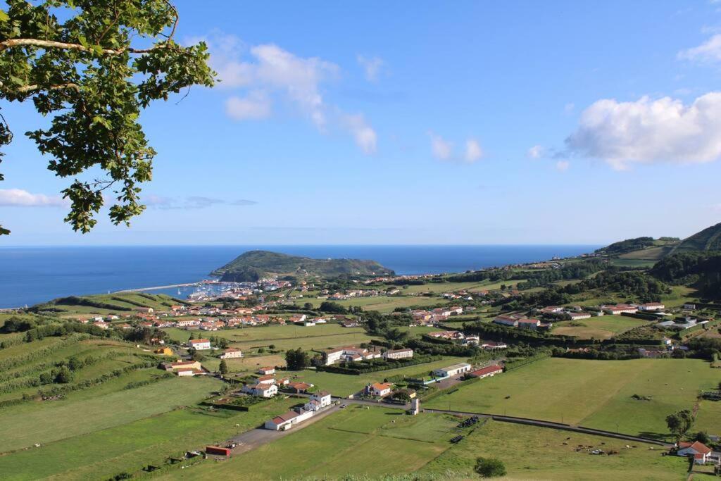 Casa Das Palmeiras - Res. Of Elizabete And Fatima Horta (Azores) Exterior foto